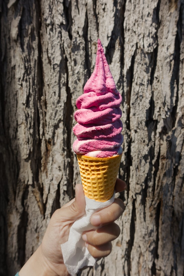 Happy Cones Co's Mixed Berry ice cream