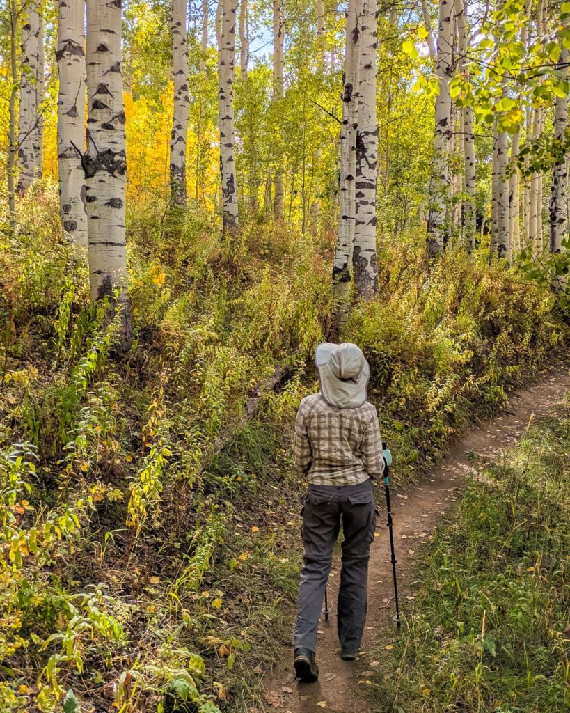 Hiking on Beaver Creek Mountain
